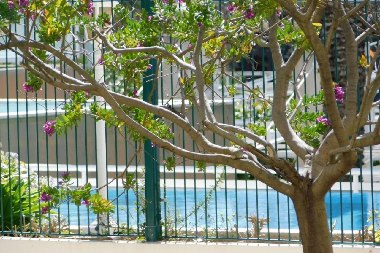 "T2 "Antibes Les Pins 3" Air Conditionned Sea View With Parking And Pool" Apartment Bagian luar foto